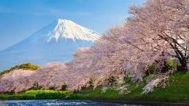 日本文化の軌跡：伝統・芸術・革新と現代日本の国際的地位